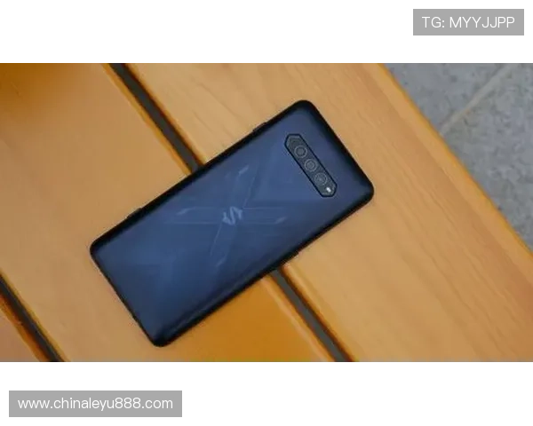 乐鱼电竞专业版官网如何帮助电竞玩家提升竞技水平与技巧